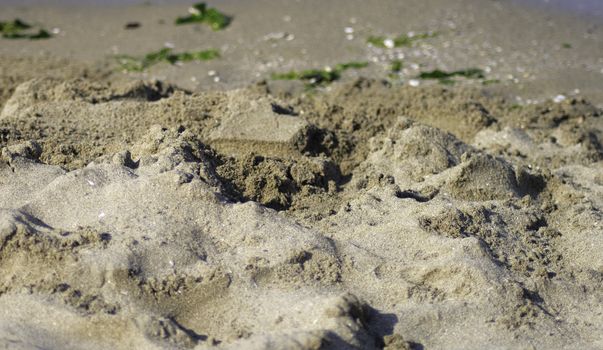 Bunch of sand along the shore