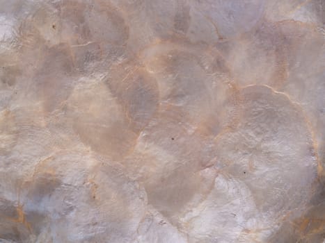 pearl shell texture