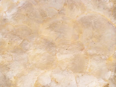 abstract pearl shell texture