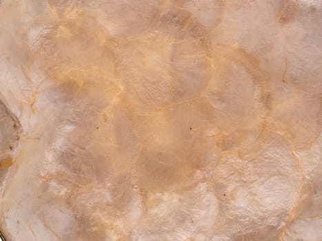 pearl shell texture