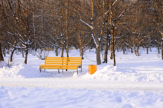 Bright yellow bench in the evening winter park