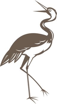 illustration of a Crane  looking up done in retro woodcut style on isolated white background