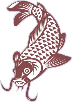 illustration of a Koi carp swimming down on isolated white background