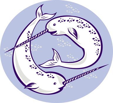 illustration of two narwhal Monodon monoceros unicorn whale witjh straight tusk tooth set inside oval done in retro style.