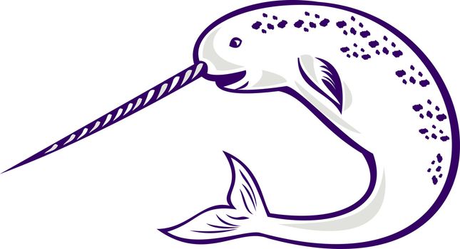 illustration of narwhal Monodon monoceros unicorn whale witjh straight tusk tooth on isolated white background
