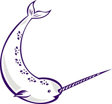 illustration of narwhal Monodon monoceros unicorn whale witjh straight tusk tooth on isolated white background