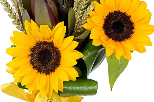 Bouquet of sunflowers isolated on a white background.