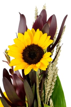 Bouquet of sunflowers isolated on a white background.