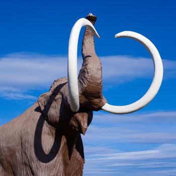 Sculpture of extinct woolly mammoth in aggressive pose.