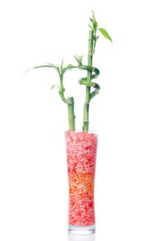 Glass jar with bamboo isolated on white background.