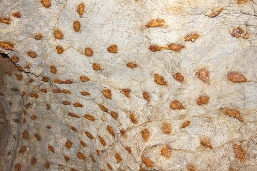 The amazing spots of colour in the sandstone ceiling of a cave at Kow Wang Tong Cave,  Nakhon Si Thammarat, Thailand, The colours are caused by salts of iron, copper and other metals.