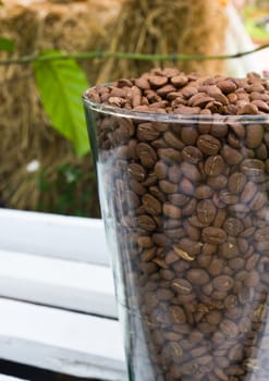 Glass jar with brown coffe beans