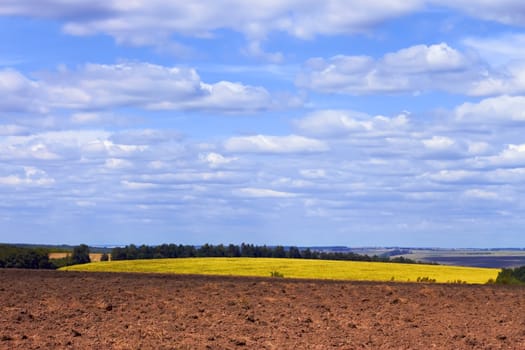 Fields in early autumn. In the foreground arable soil, bright yellow sunflower field at distance 