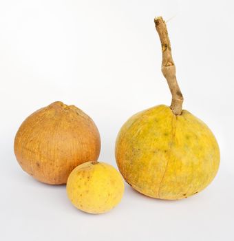 Santol (Sandoricum koetjape (Burm.f.) Merr.) fruits have several common names, Gratawn in Thai, Kompem Reach in Khmer, Tong in Lao, Donka in Sinhalese, Wild Mangosteen in English, Faux Mangoustanier in French.