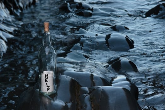 a bottle with a help message standing on a rocky coastline