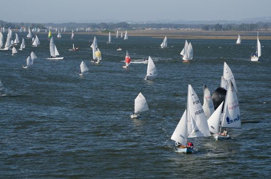 AVEIRO - AUGUST 27: All participating classes competition during the 49th Cruzeiro da Ria August 27, 2011 in Aveiro, Portugal.