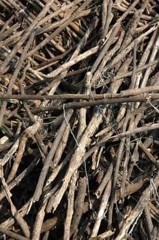abstract shot of stack of log wood