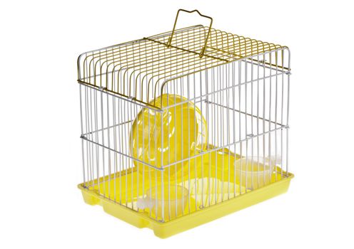 A yellow box in a small yellow hamster cage