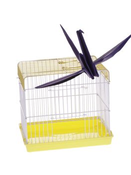 A purple bird escape from a yellow cage