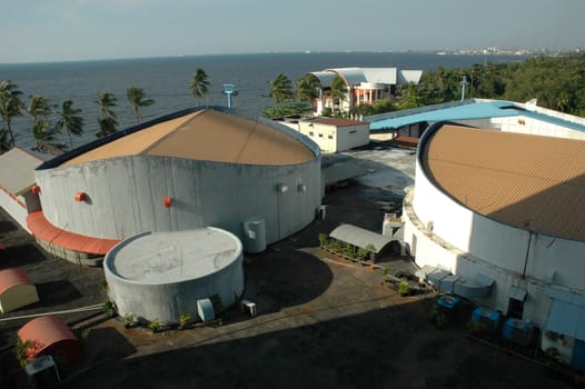 factory building that produced goods and marine product
