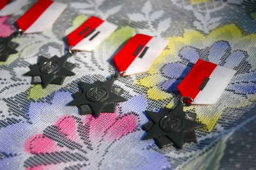 medal for winning a challenge or competition