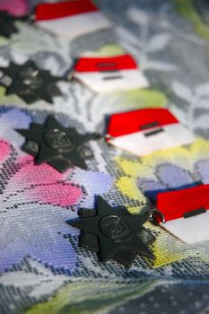 medal for winning a challenge or competition