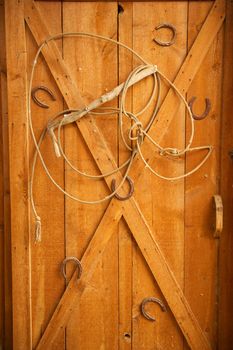 An old lasso is arranged in a decorative way with old rusted horse shoes on a golden wooden door