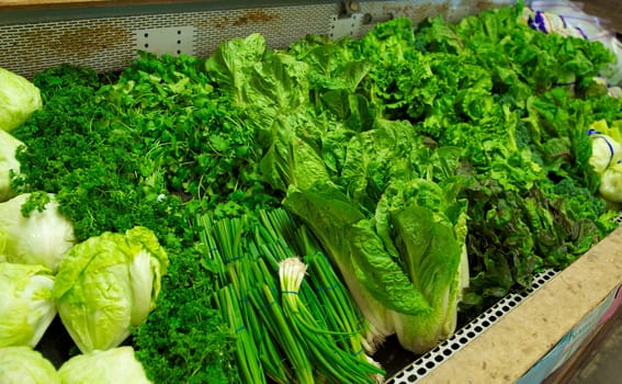 A bright green section of produce including onions, iceburg, parsley, romaine and other lettuces in a grocery store bin