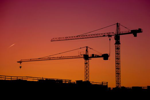 cranes in the construction site in sunset