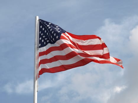 Flag of the USA (United States of America)