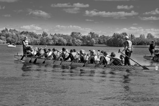 A team of dragon boat racers paddling their boat