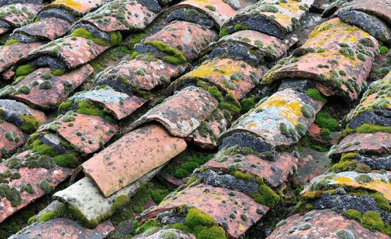 Multi-colored picture of roof tiles with moss grown among them
