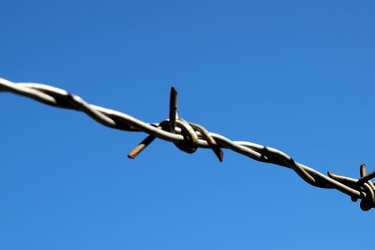Strand of barbed wire shown up close against the blue sky
