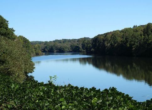 A view along the Catawba River in North Carolina