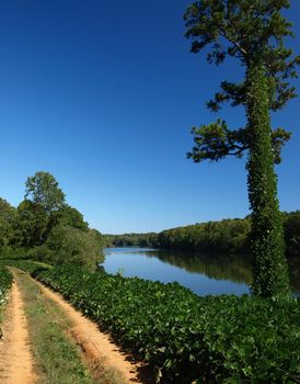 A road along the Catawba River in North Carolina