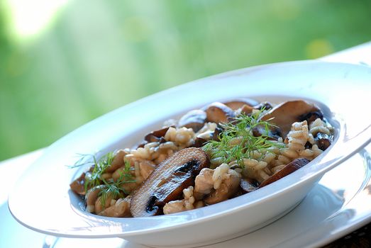 Mushroom risotto