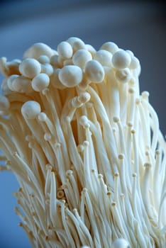 Enoki mushrooms