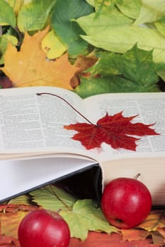 The book with a red maple leaf and apples removed close up on autumn foliage