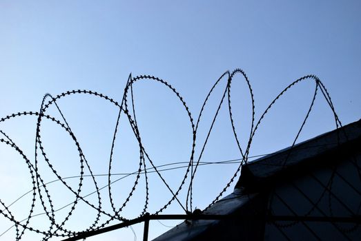 Barbed wire close up