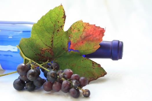 Autumn colored grape leaves, grapes and a blue wine bottle