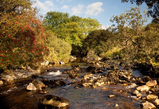 Rocky river bed in secluded valley