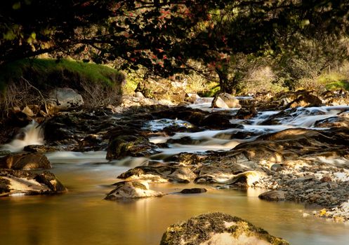 Beautiful peat laden river in verdant Welsh valley