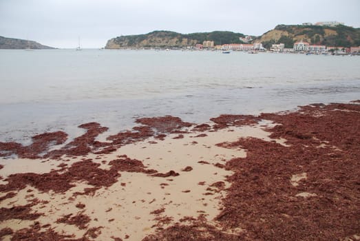 famous beach scene at Sao Martinho do Porto, Portugal