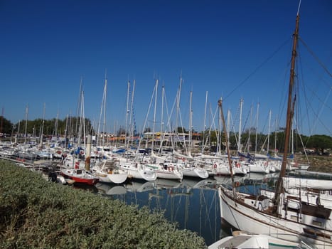 on Oleron island