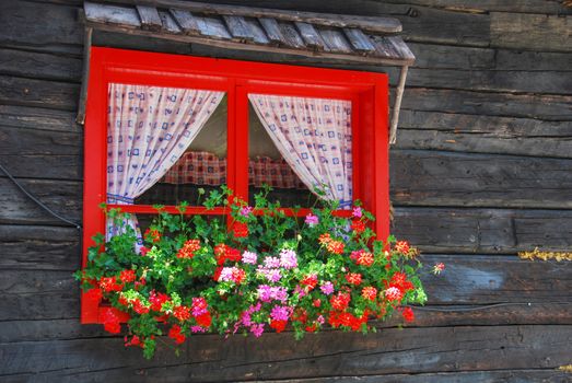 Flowers at the window in a bright summer day