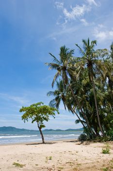 View over Tamarindo beach, Costa Rica Pacific Coast.