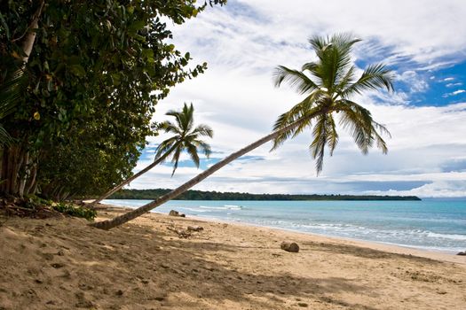 View over a tropical beach in Costa Rica.