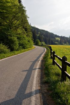 A country road next to a yellow flowered field in Switzerland