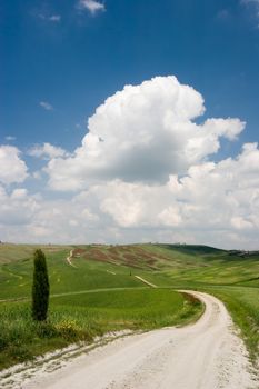 A countryroad in the Tuscan landscape. Tuscany, Italy.