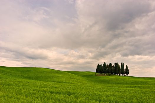 Tuscan Landscape. Val D'Orcia, Tuscany, Italy.